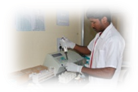 Laboratory Services