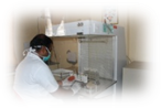 Laboratory Services