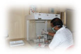 Laboratory Services